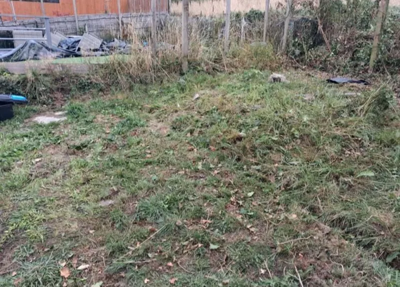 After rubbish removal in Penzance